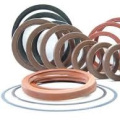 Double Lips FKM/FPM Rubber Oil Seals with Iron Spring Insert